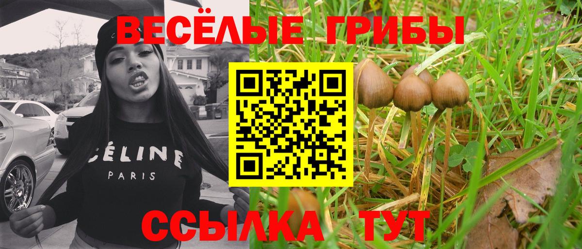 Галлюциногенные грибы Psilocybe  Вход с VPN  Карпинск 