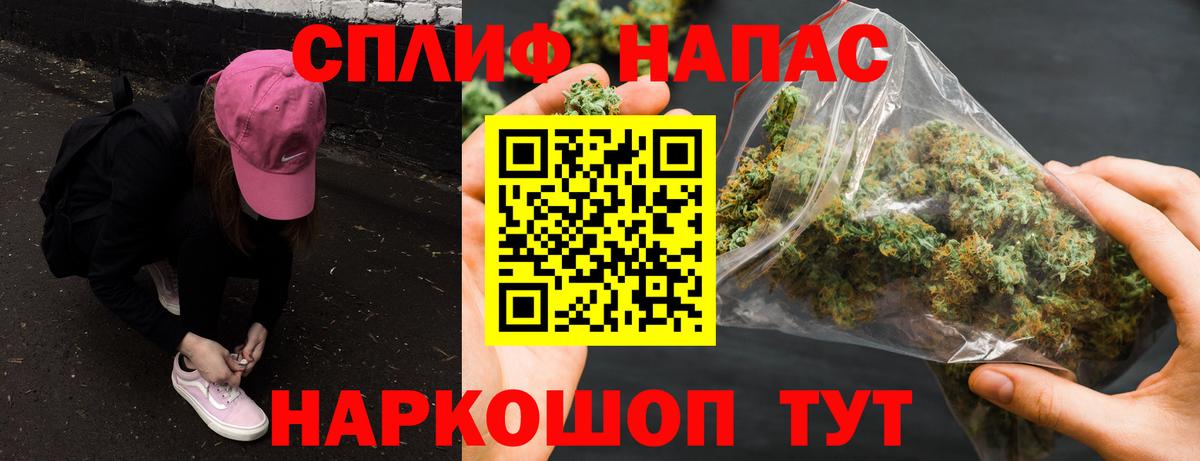 Конопля планчик Карпинск